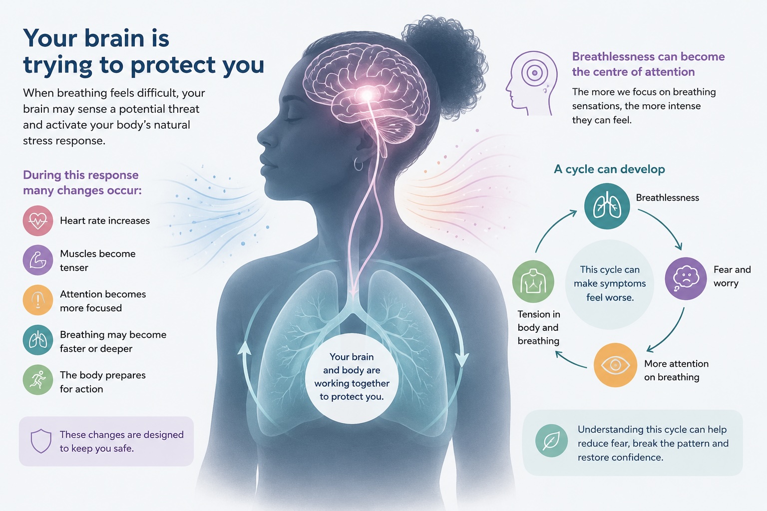 Infographic: Your brain is trying to protect you — how the body's stress response can amplify breathlessness and create a cycle of fear, tension and symptom monitoring