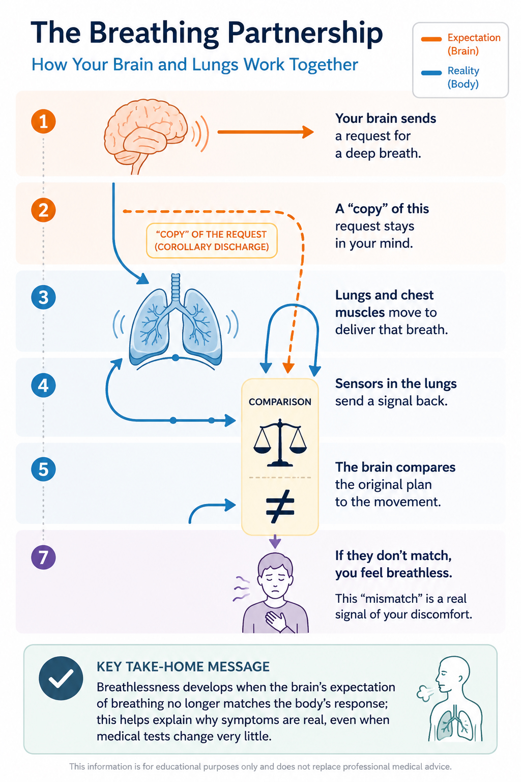 The Breathing Partnership infographic: a step-by-step diagram showing how the brain's expectation of a breath is compared with the body's response, and how a mismatch produces the real sensation of breathlessness
