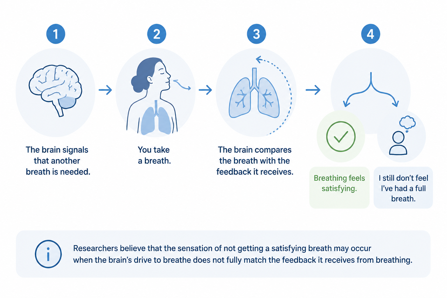 A four-step diagram of the brain-breath mismatch: the brain signals a need to breathe, a breath is taken, the brain compares the breath with the feedback it expects, and generates either a sense of satisfaction or a feeling that another breath is needed