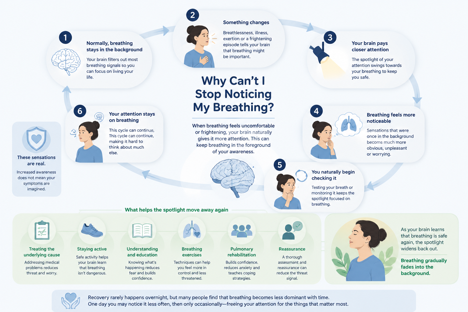 Circular infographic titled 'Why Can't I Stop Noticing My Breathing?' showing the six-stage attention cycle — from breathing staying in the background, through something changing, the brain paying closer attention, breathing feeling more noticeable, checking behaviours and attention staying on breathing — alongside reassurance that these sensations are real, and a summary of what helps the spotlight move away again.